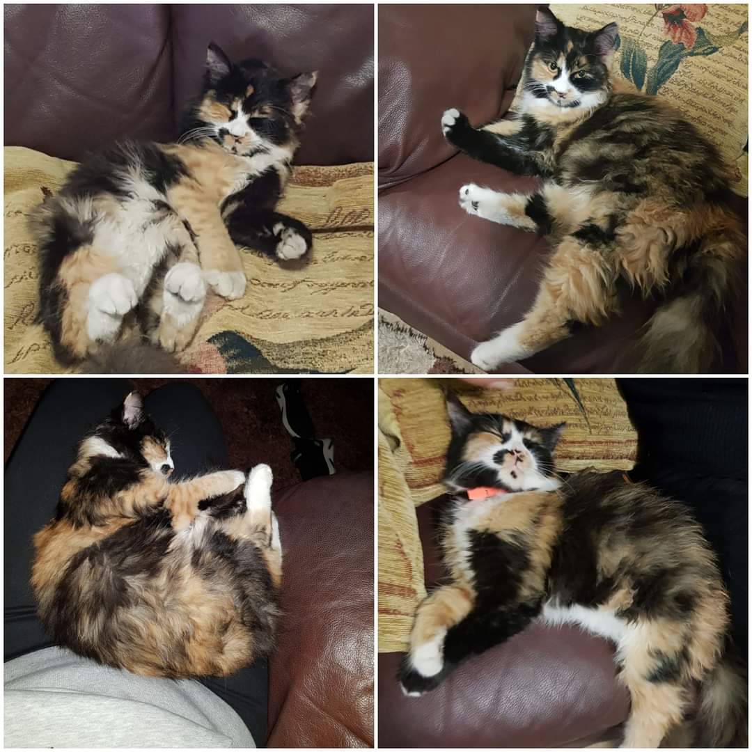 FB_IMG_1642713673289