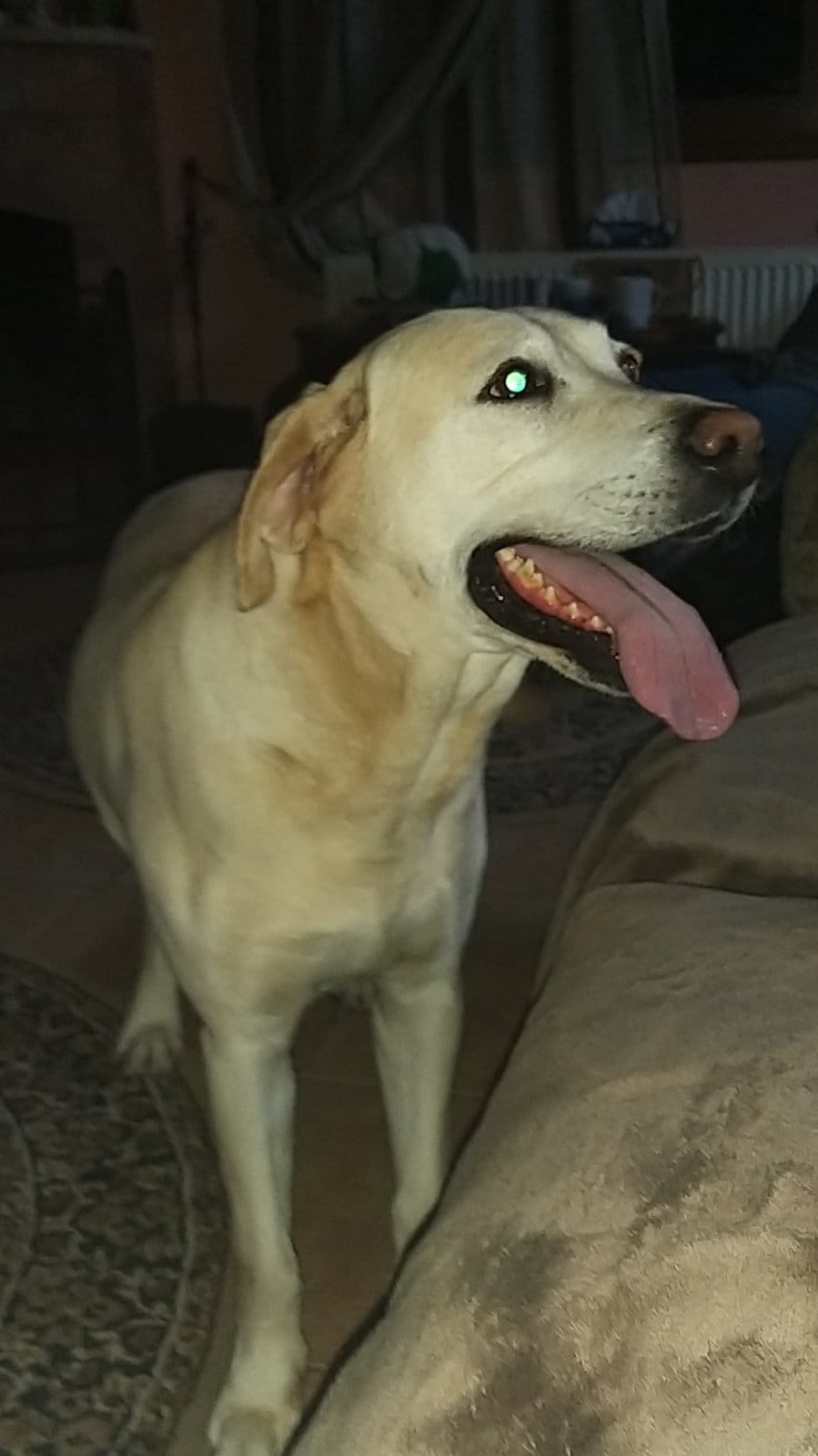 IMG-01b70c95b5bc9b125df355d3dba6b549-V