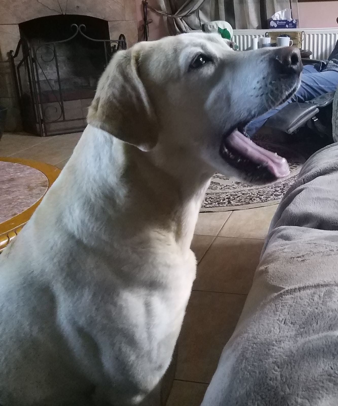 IMG-61ca5226b8a9971ccafa780350d2849b-V