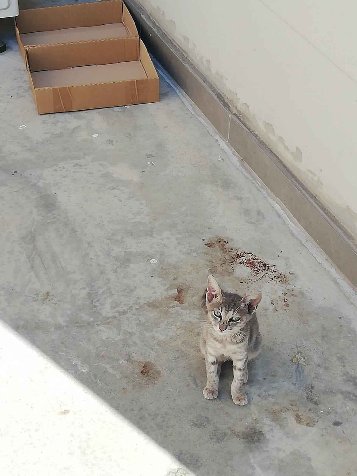 IMG-af13556c9d7dfd2249cd5a1e43fb3f61-V