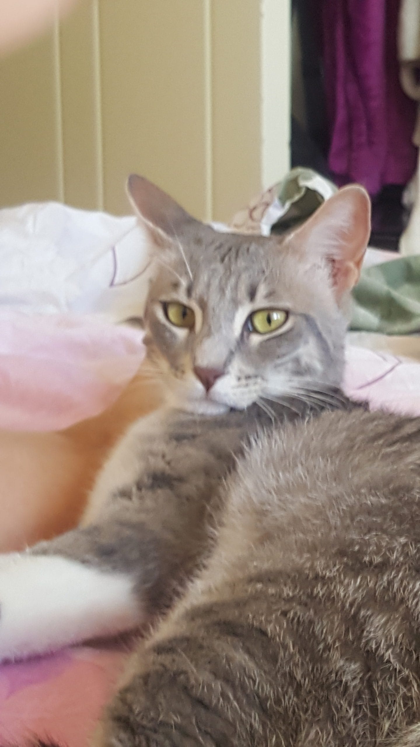 inbound1685080144736637085