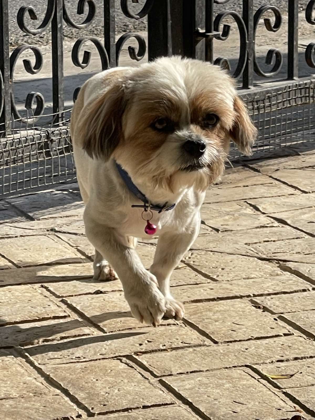 inbound3327661136234524459