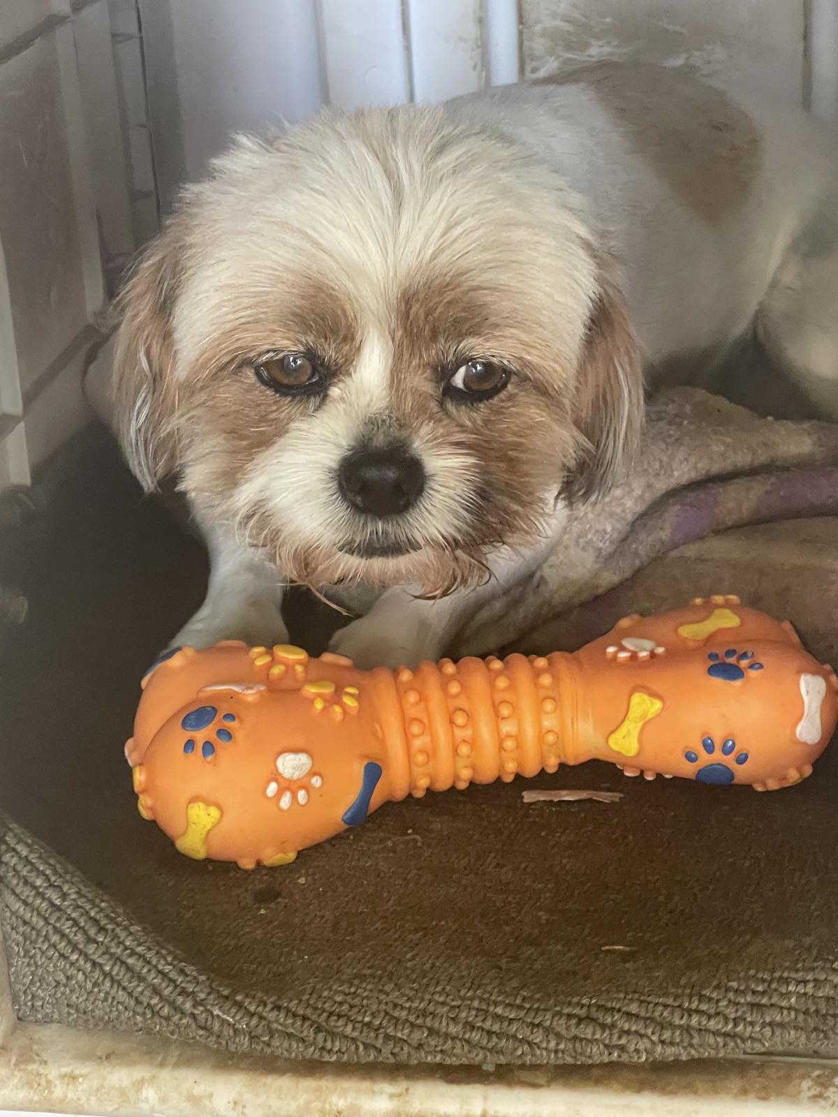 inbound3997935295001994667