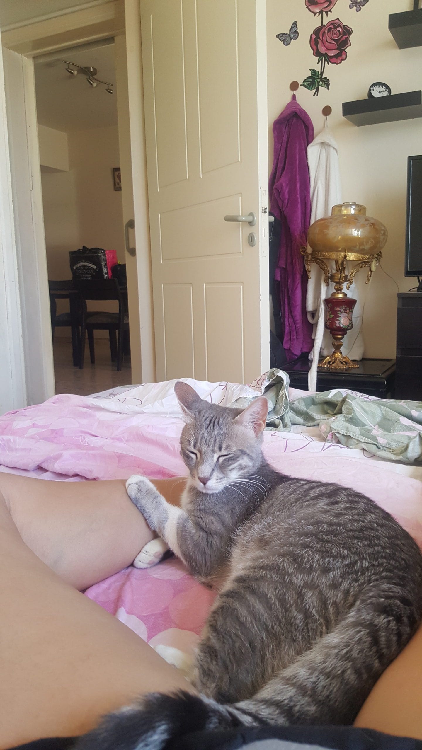 inbound775983783325258811