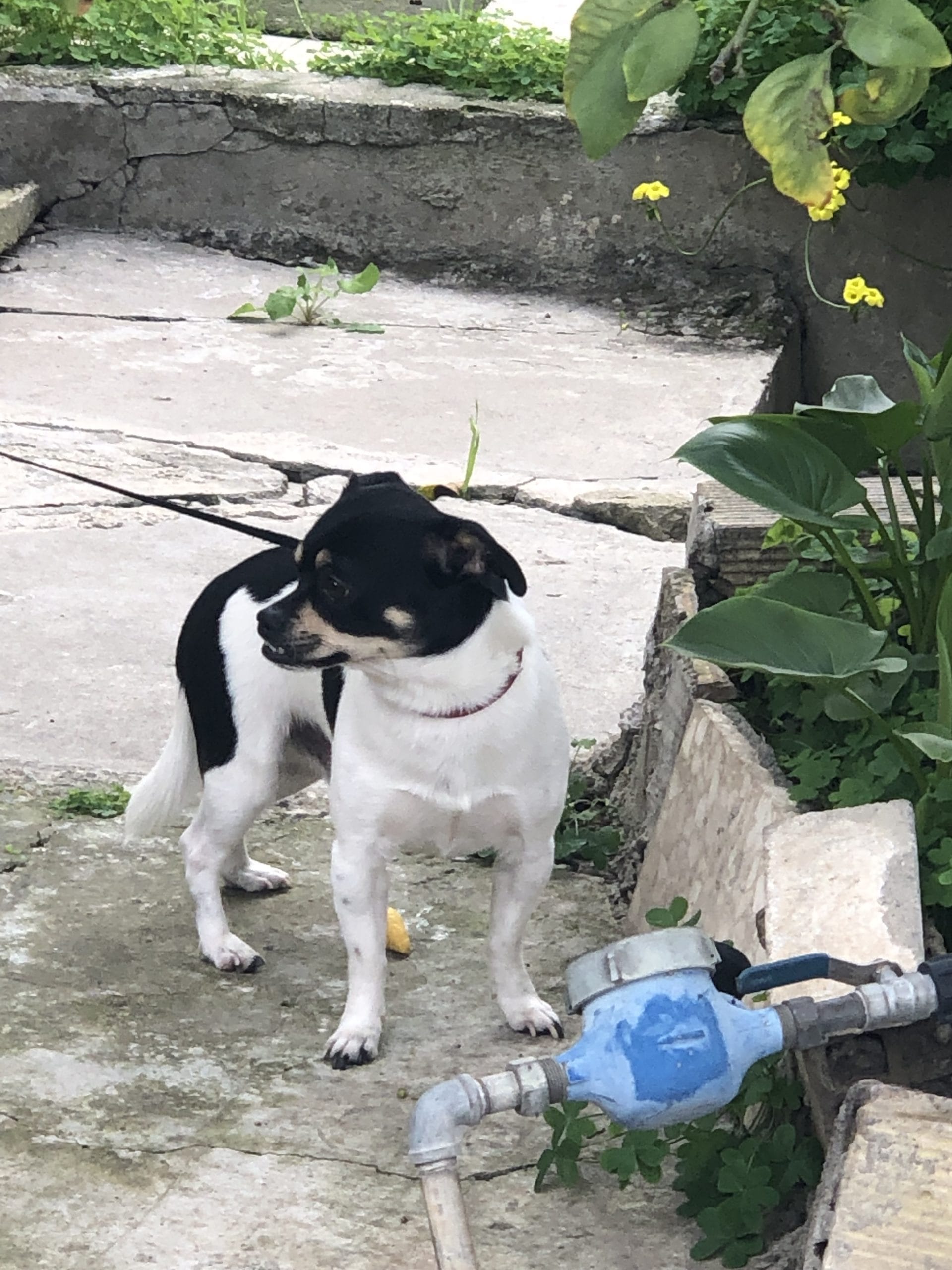 07E531E8-3F59-478C-B2DA-F9A2CB1CF081