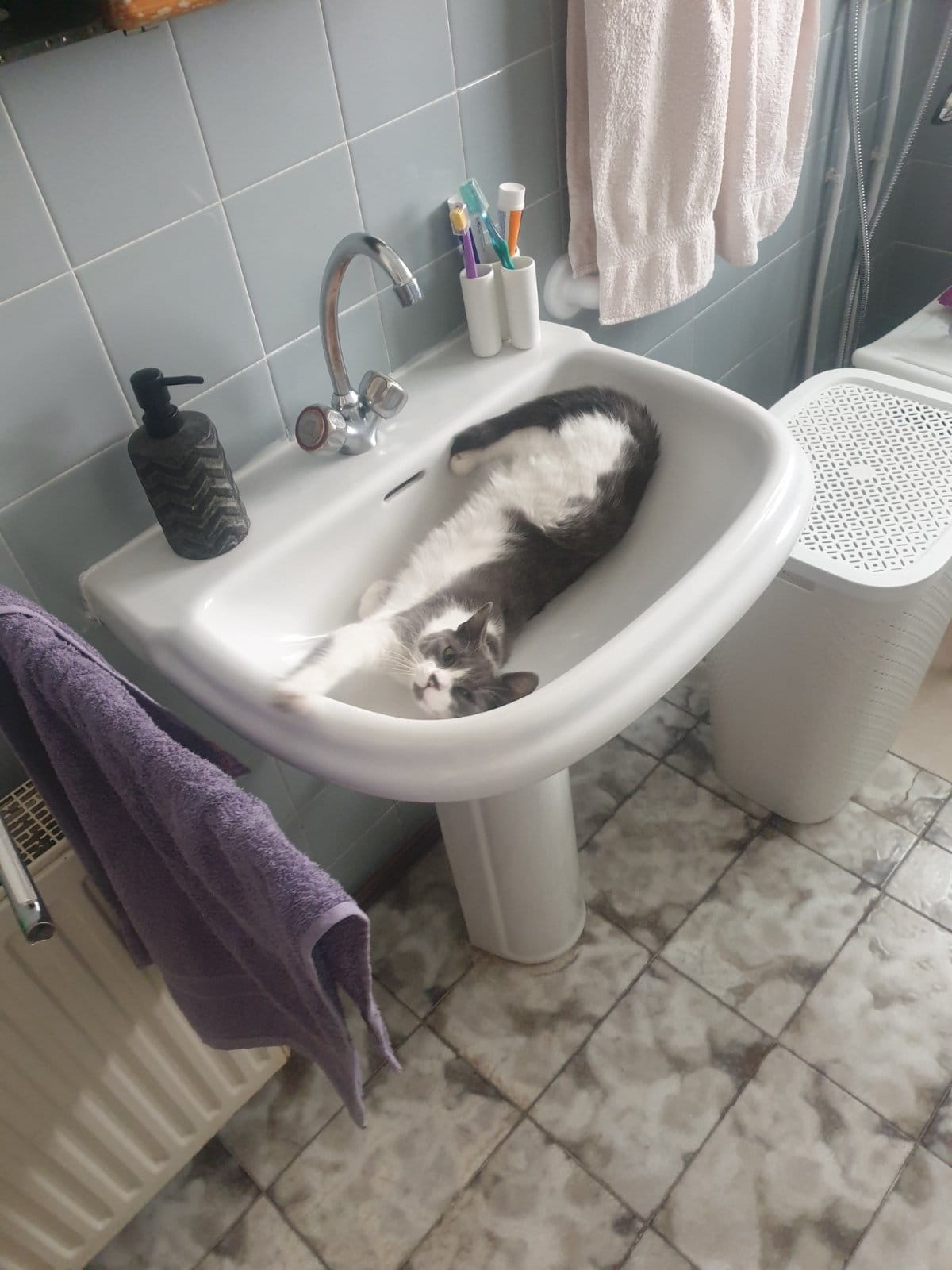 273406480_3177007555854023_2449161274195408896_n