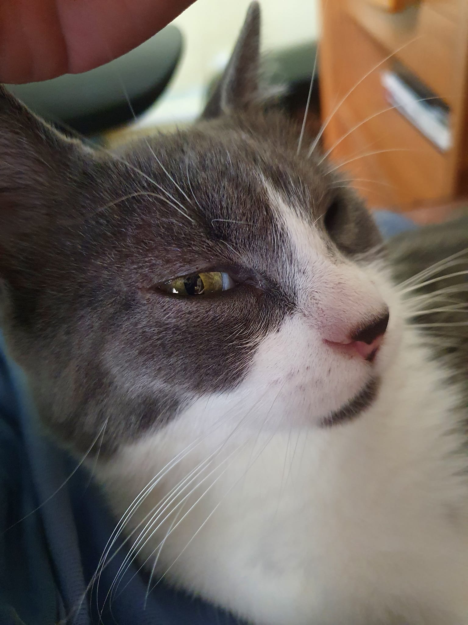 273435205_3177007439187368_2979731998254302268_n