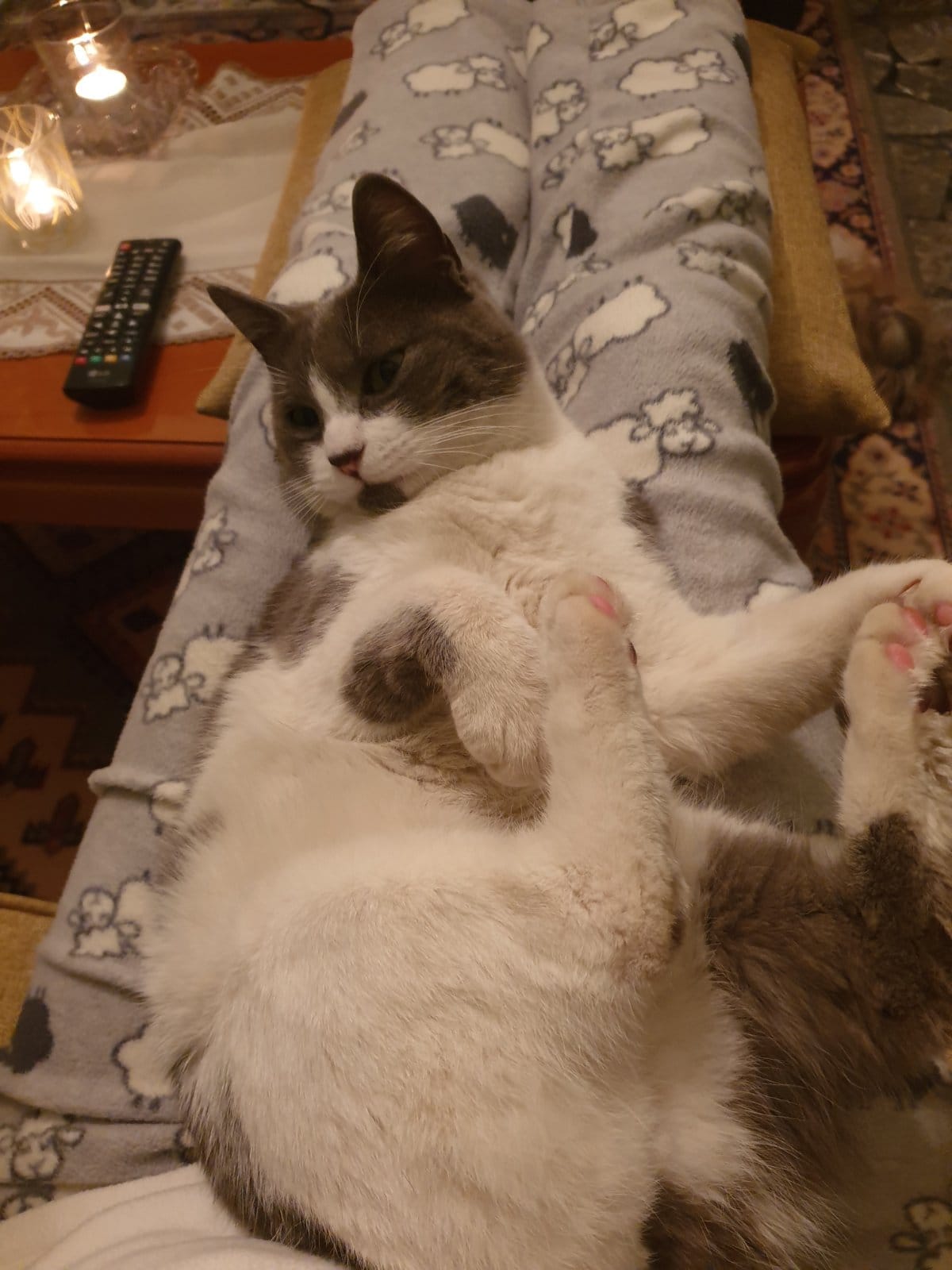 273513912_3177008069187305_2302573512822191527_n