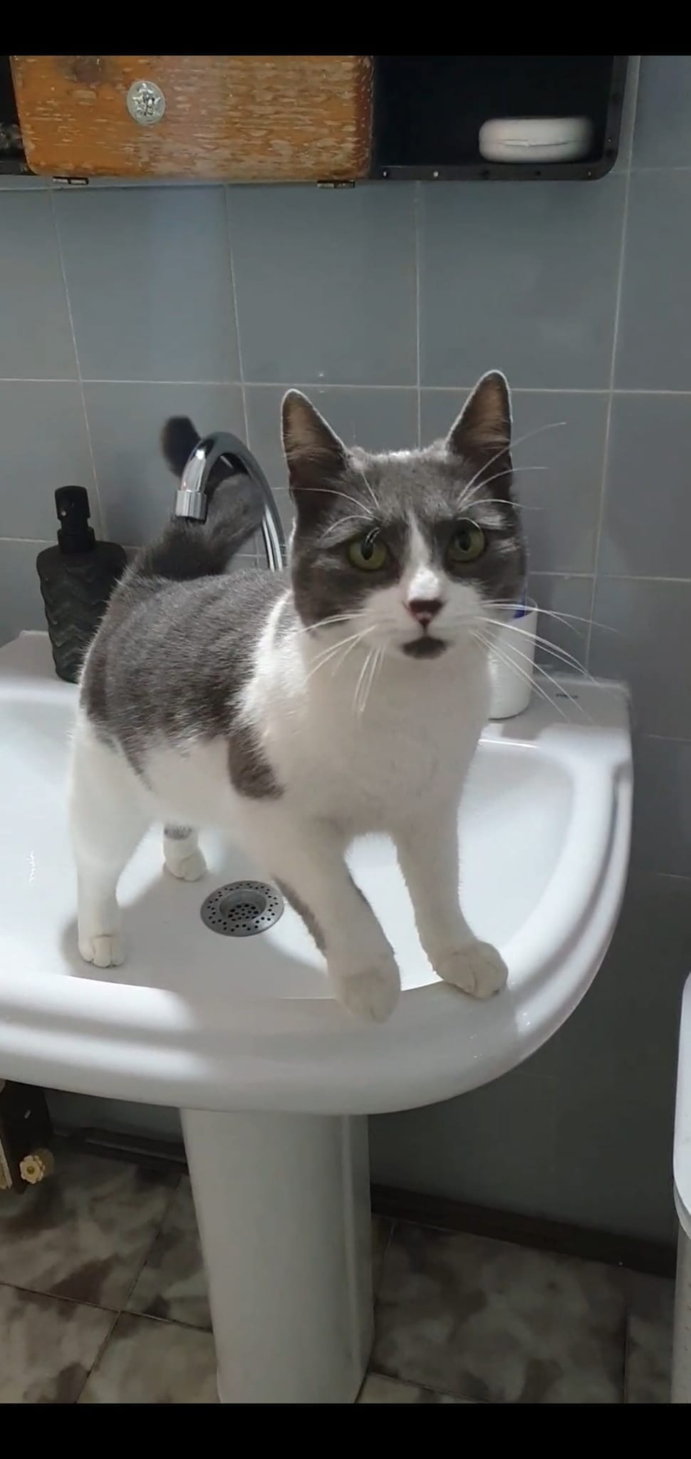 273593196_3177007479187364_9083269722410730213_n