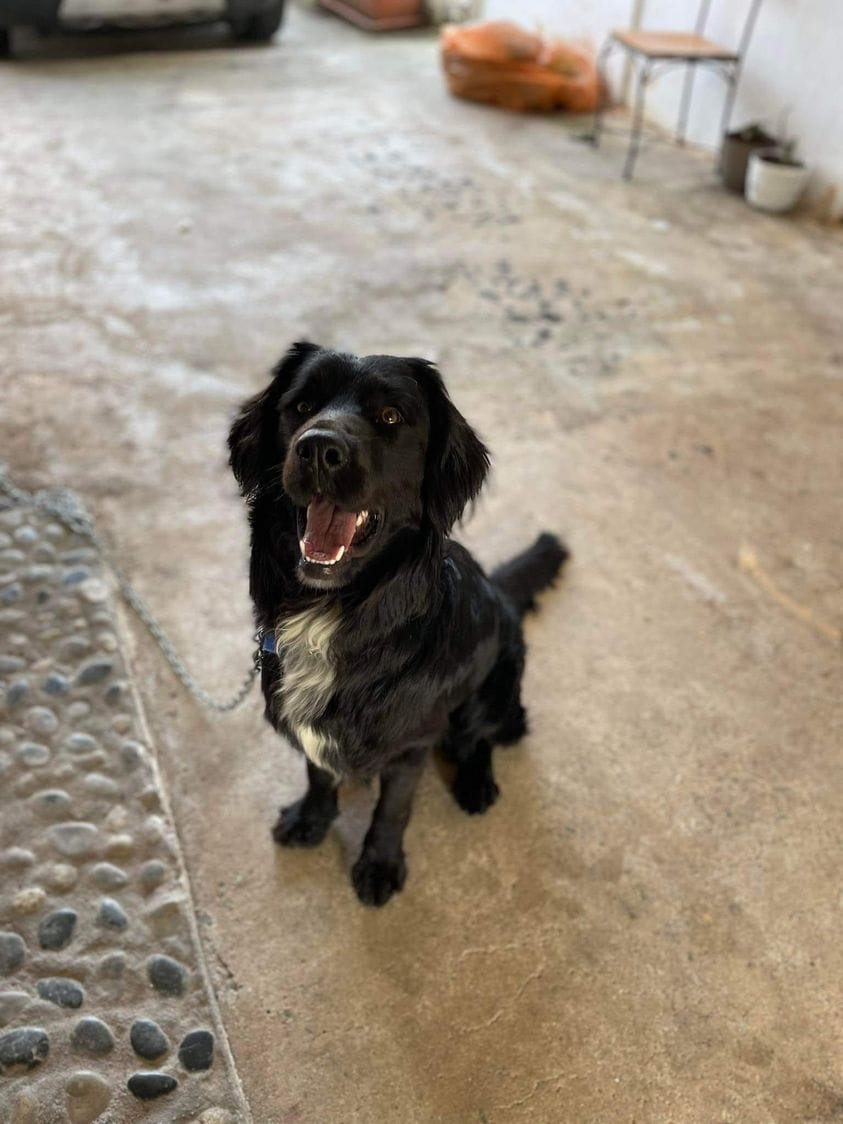 274762608_10216935985111624_2966918413536098667_n