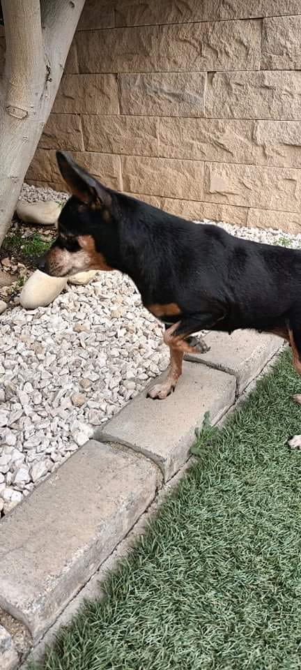 4D3198C4-21EE-457D-B520-7B51E3BB1DCC