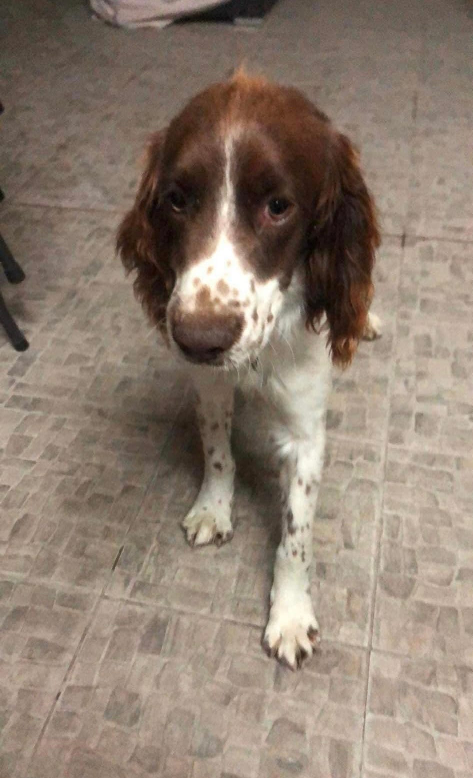 C19EBA0E-460C-435B-BA54-9BAC00FD0B26