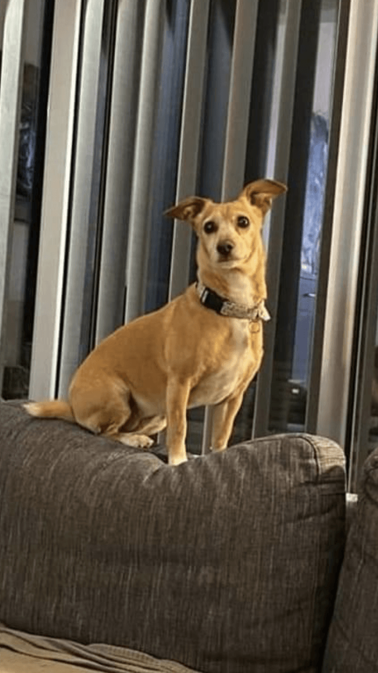 C574C4A2-9D05-4D83-B4EC-C23100BFE20E