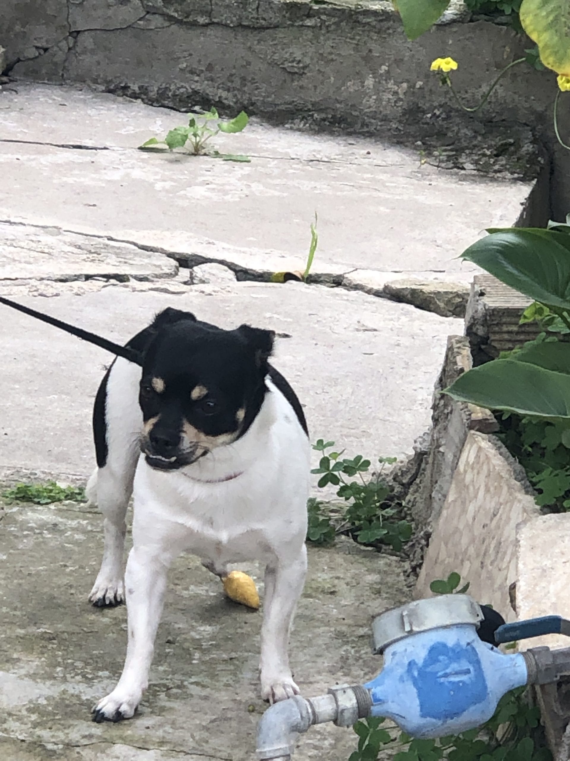 CAC26C80-1EC3-4EDF-9AF6-967EF653FC8D