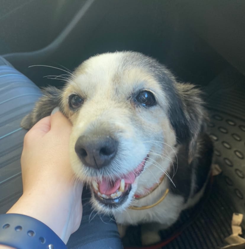 DB4418A9-C5E2-43A1-8625-40F81279E574