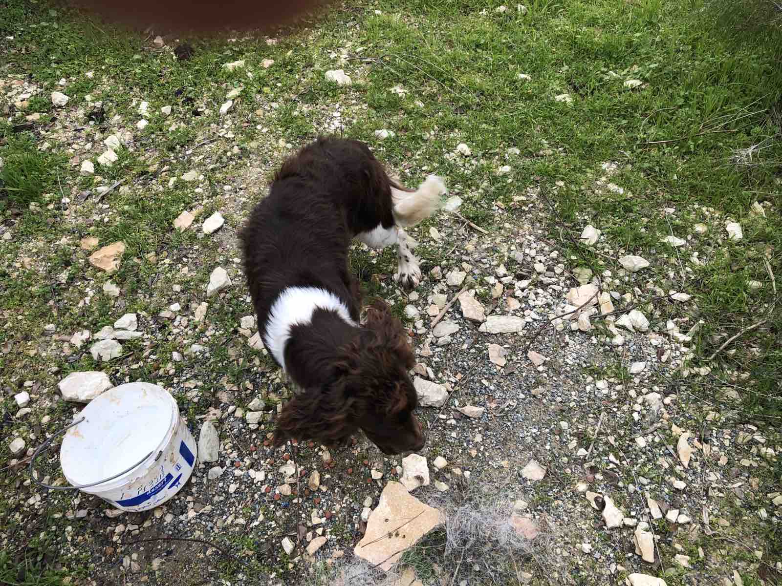 IMG-cf5adde9b53fb36f5587c47b090f4a74-V