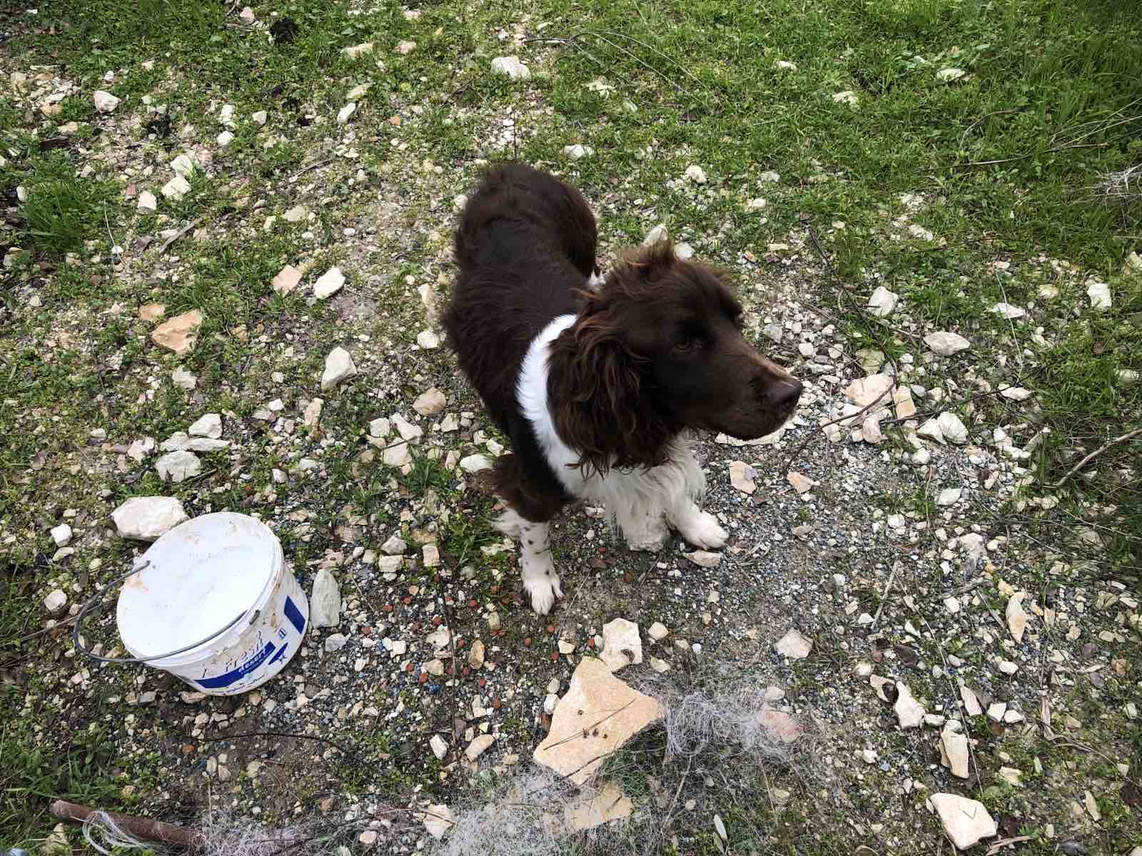 IMG-d4c6a269985064f47ac5c0d8cf903e43-V