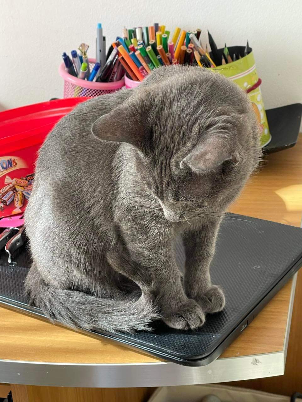 inbound3294995658193388763