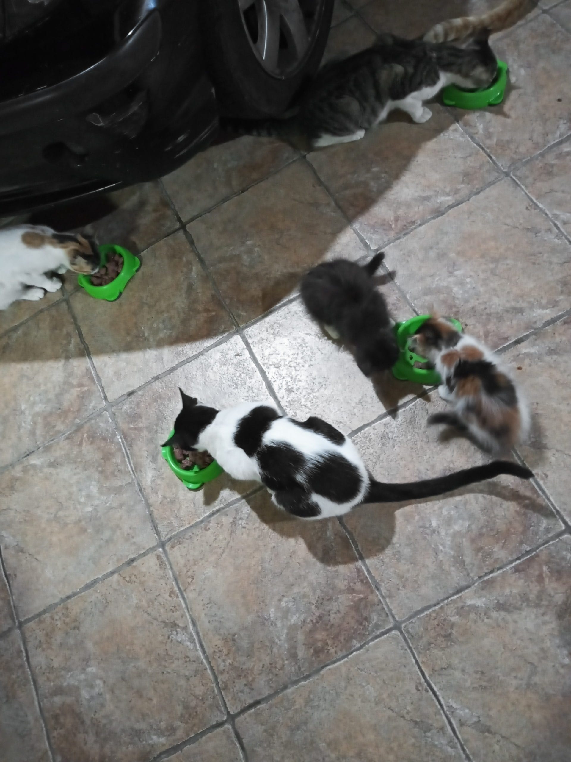 inbound6126389861863861837