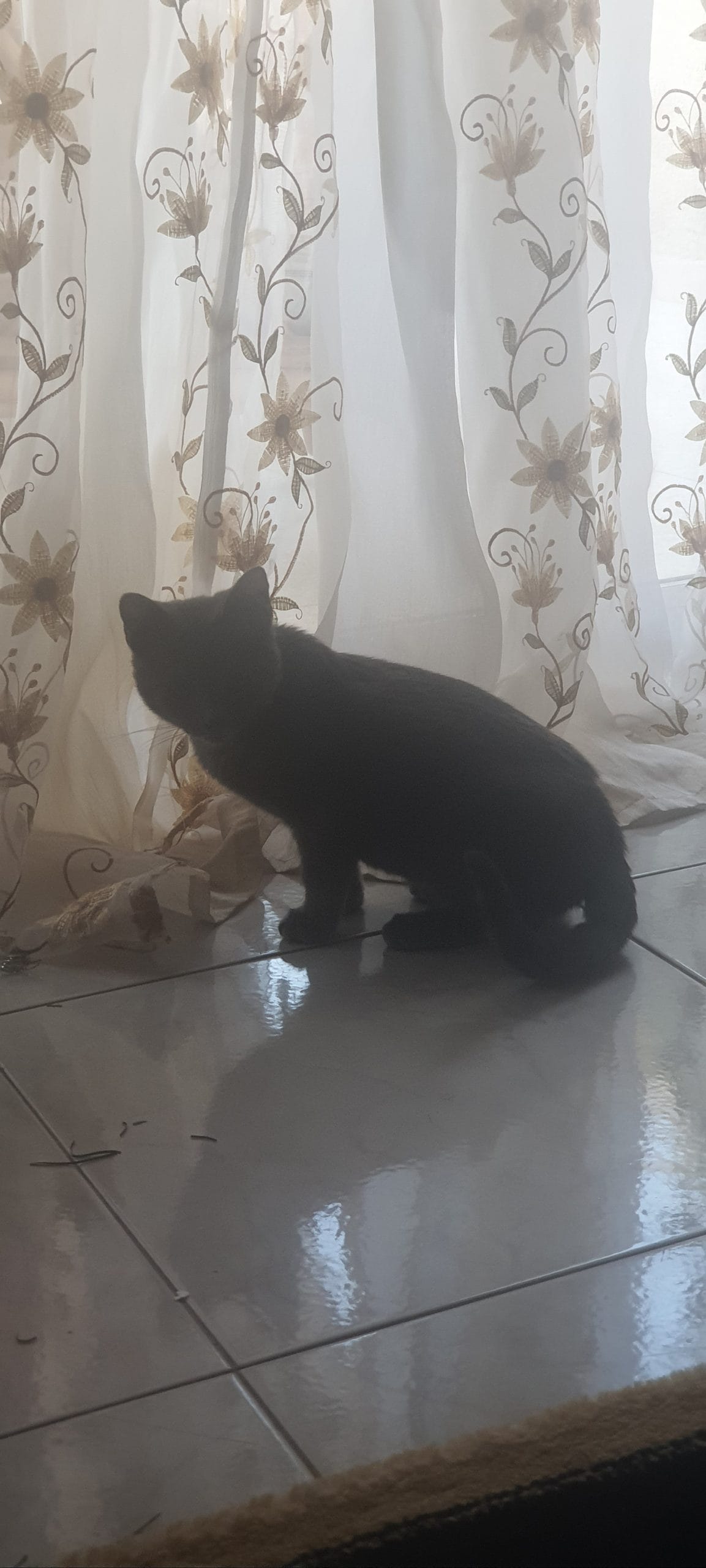 inbound8845130133850603053