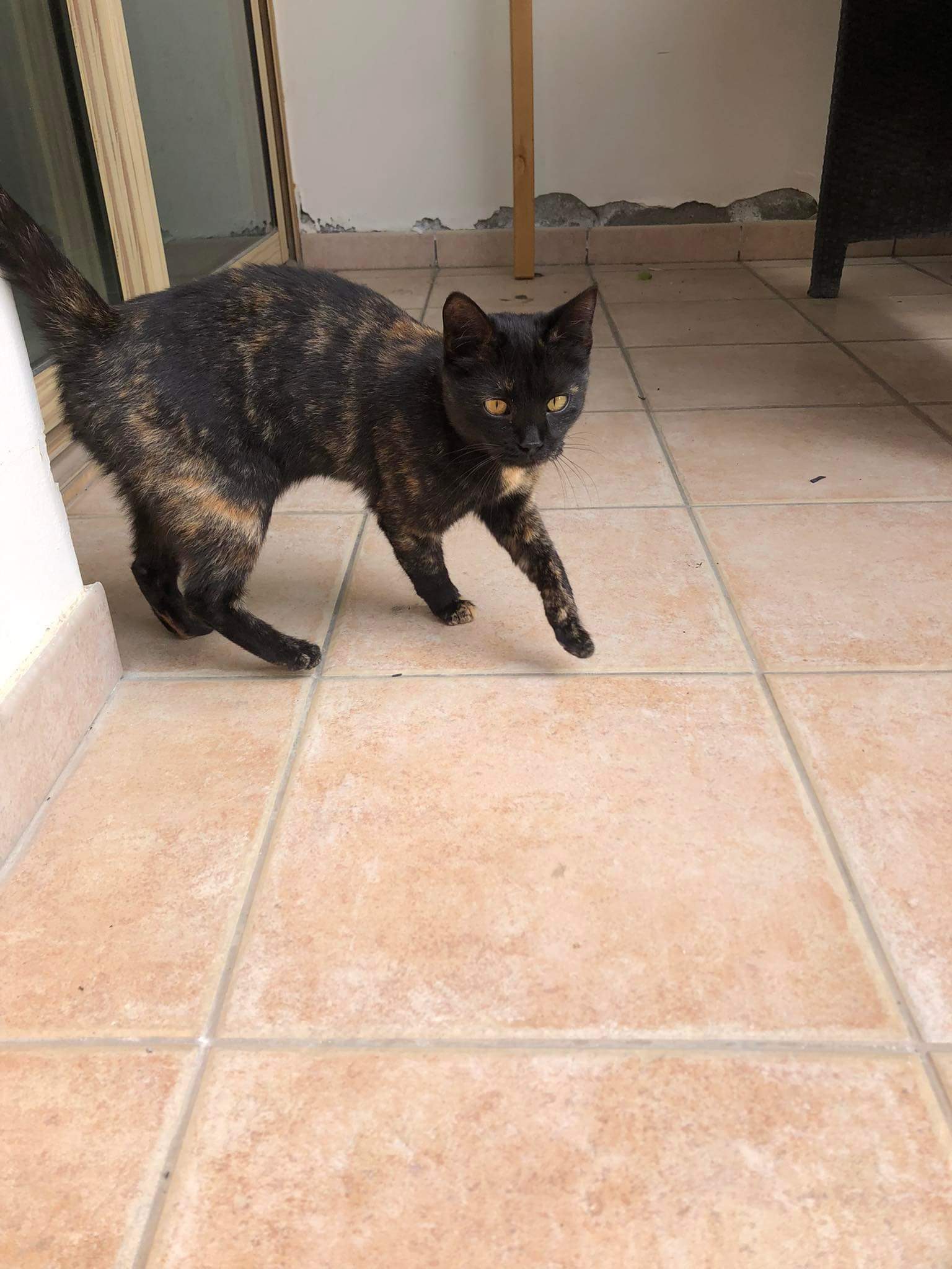 received_267496322183688