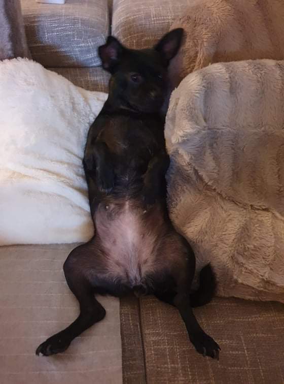 received_288566613368909