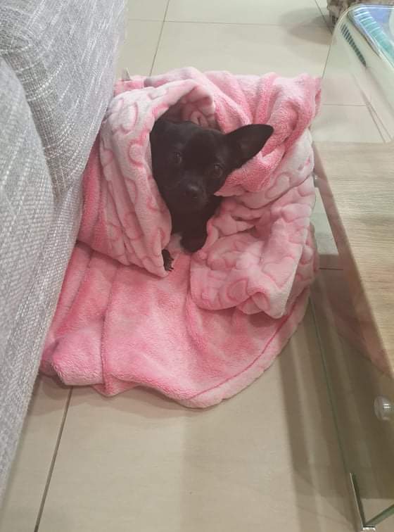 received_291953336185557