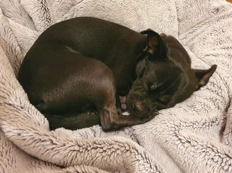 received_3064174417189532