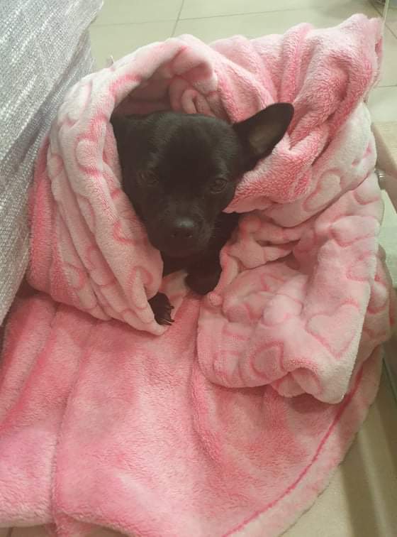 received_628381258423813