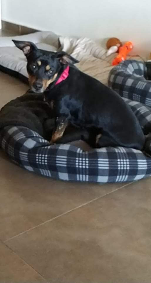 received_662330434964085