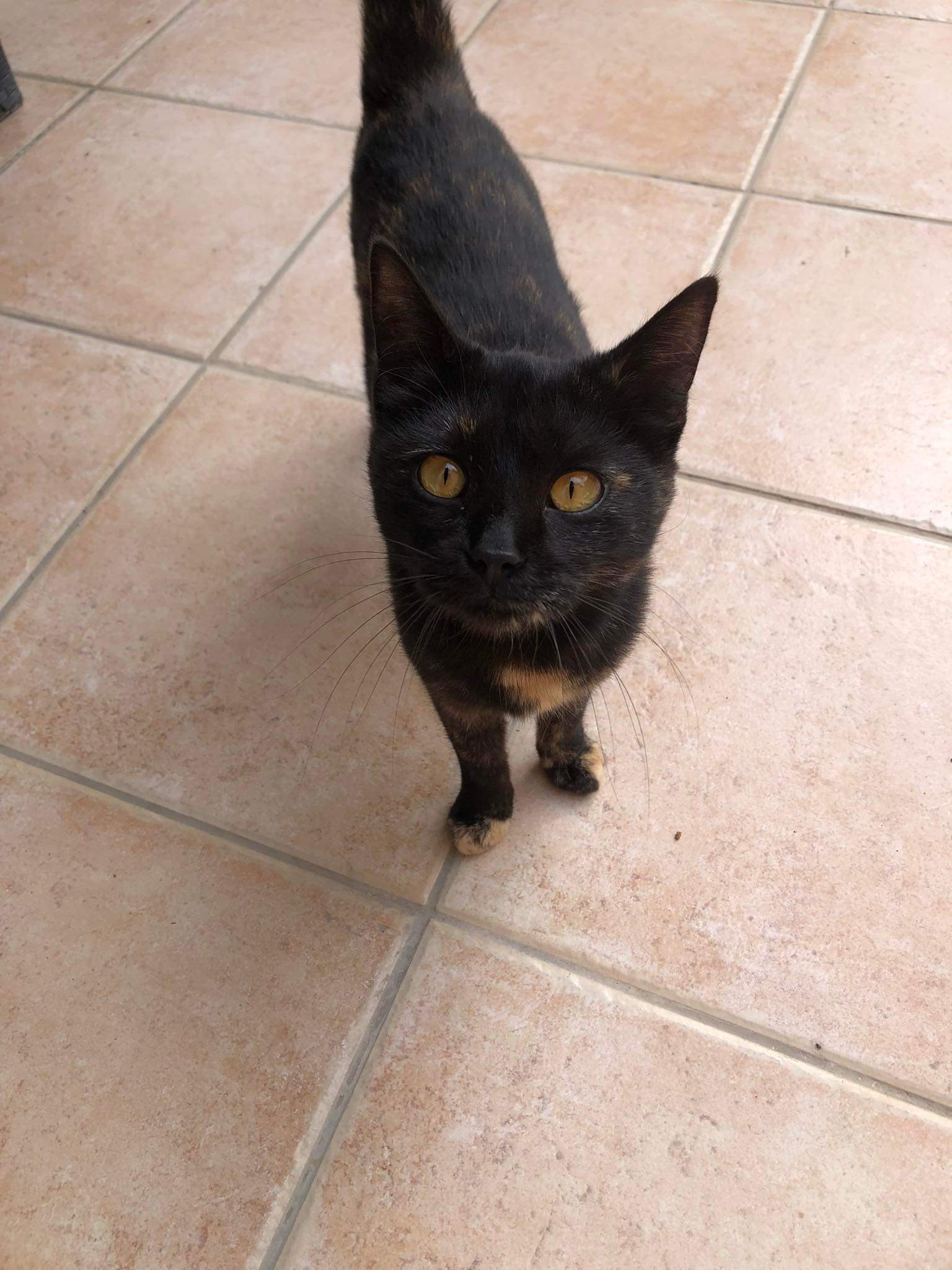 received_691695125334781