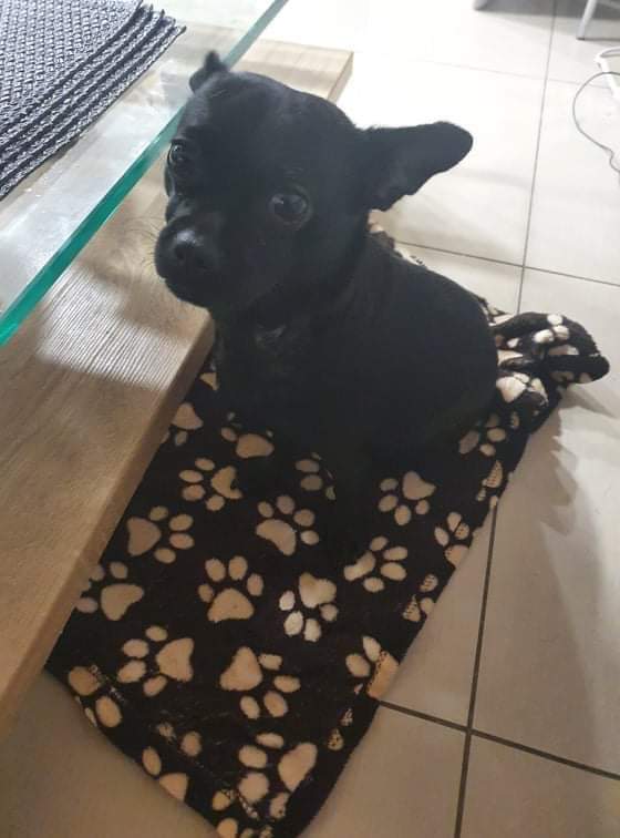 received_892920678070743