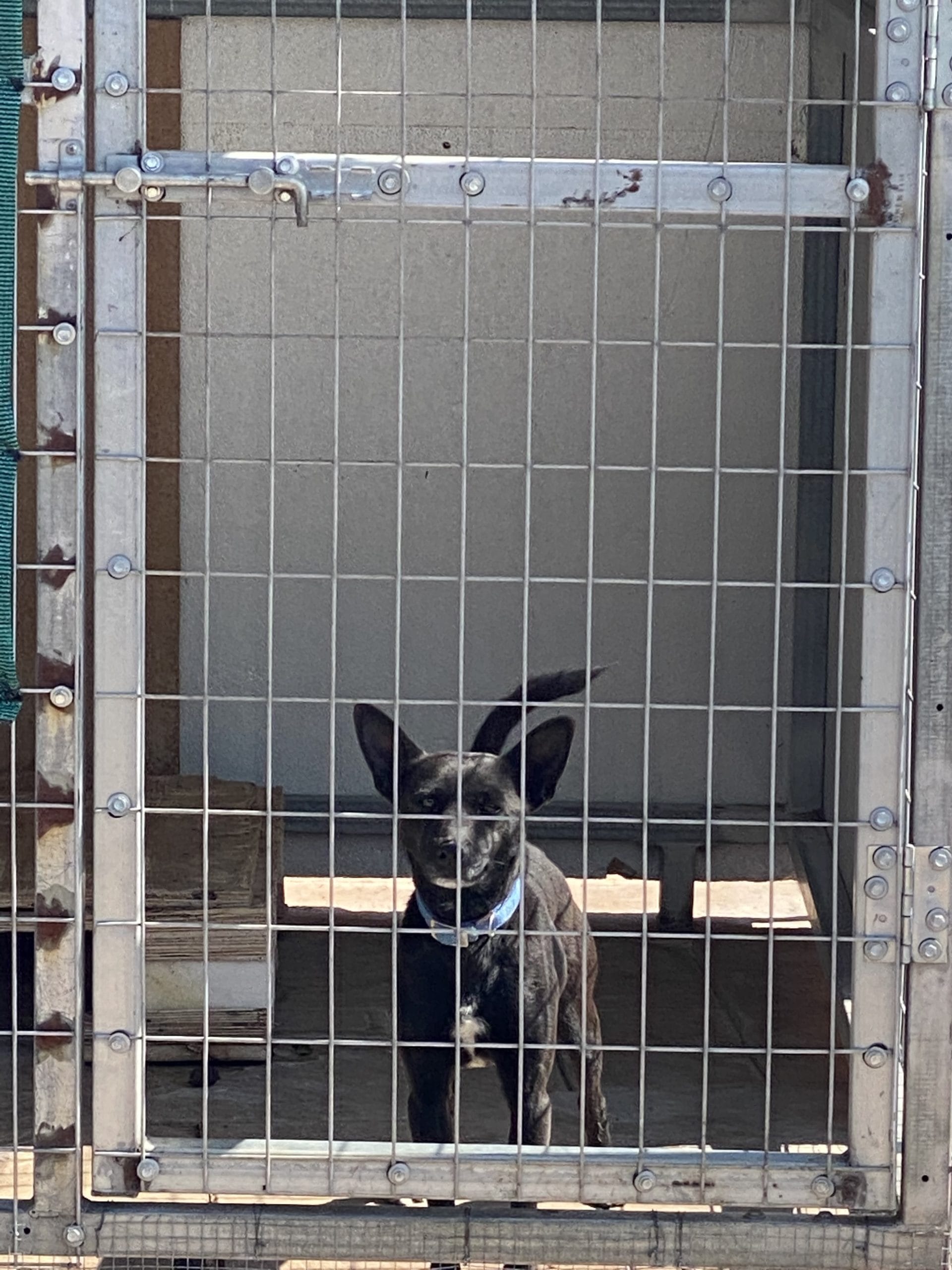 2D0B2B97-AFEE-470E-86F1-7474EA957281