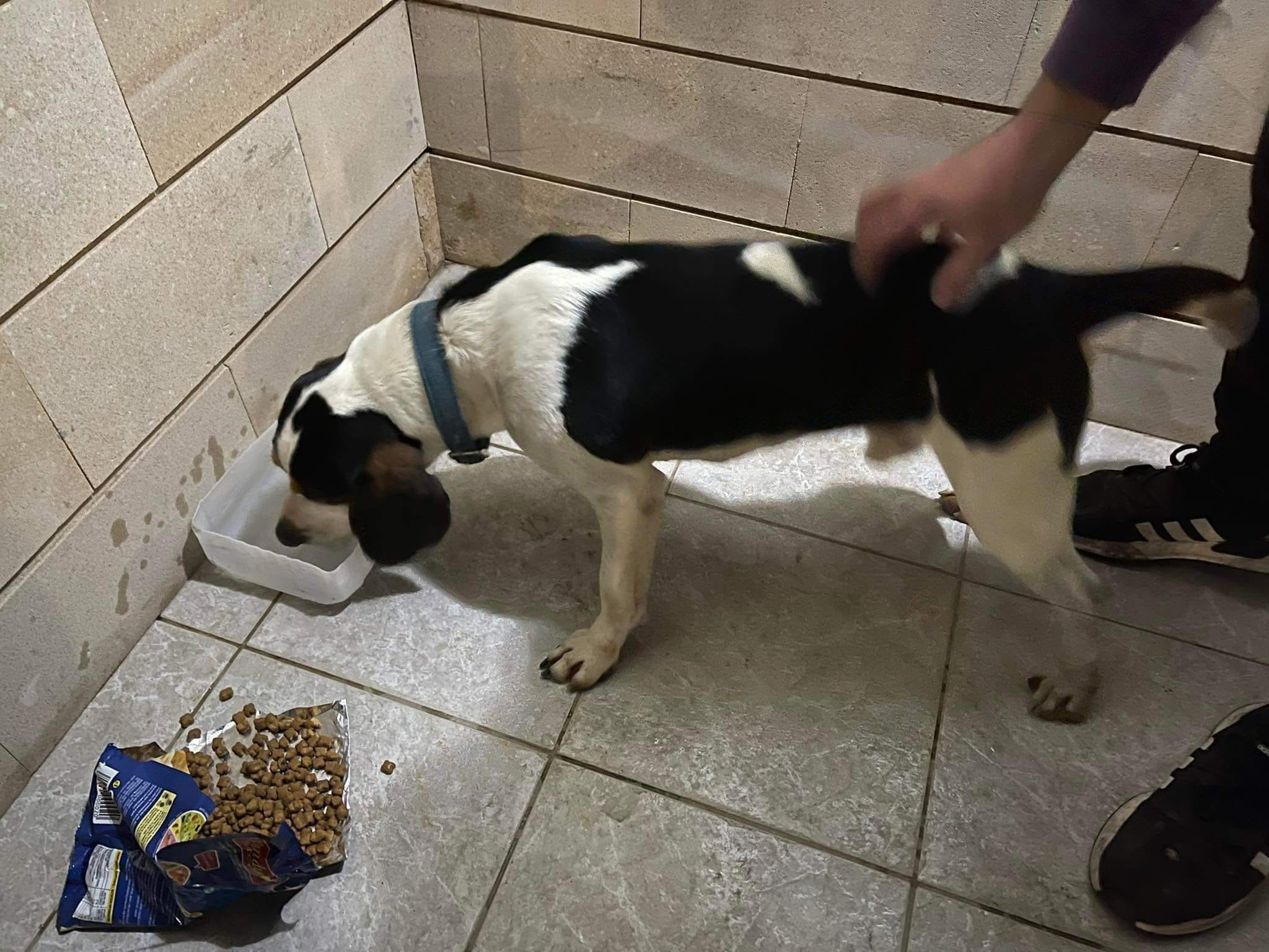 3B57C8B2-BD66-4190-AE32-AFD693AF8827