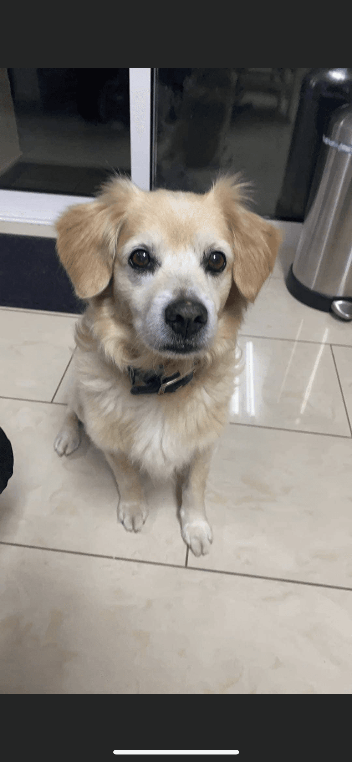 6183B345-3AD9-4880-BE03-A60F1DBB2088