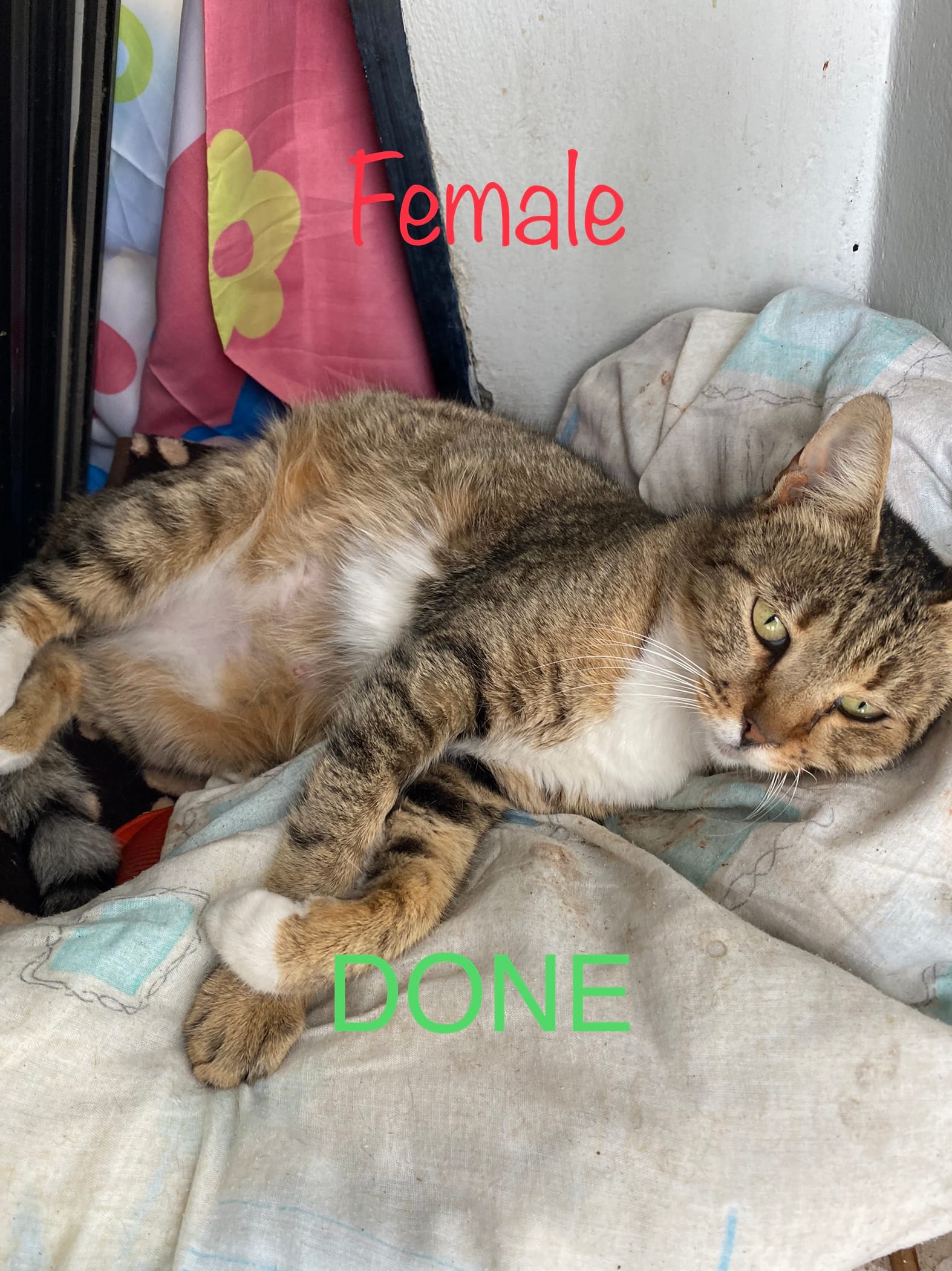 8A280E4A-1A1E-4995-A6BA-AD531578F8EE