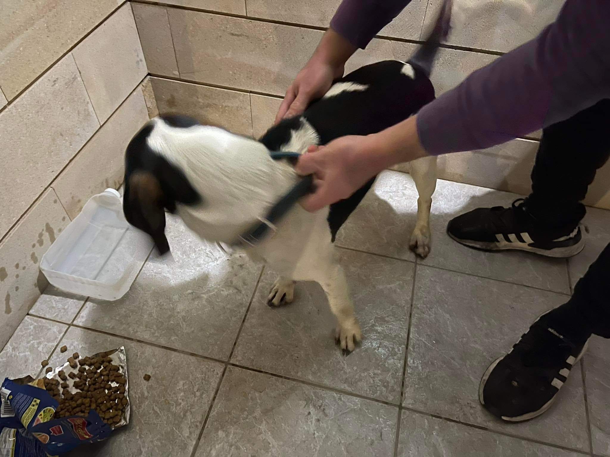 C09C80E0-07A6-488A-BD65-2FDA0009CCCB