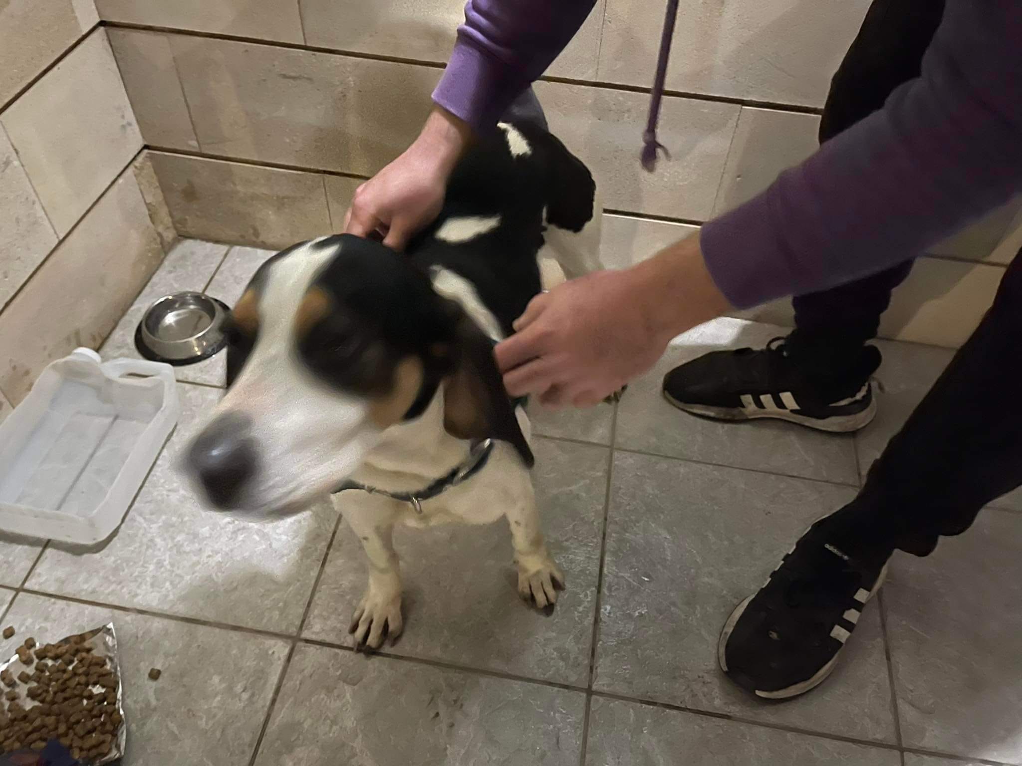 C685FA4F-82DF-45E4-97AD-DA573379FF2A