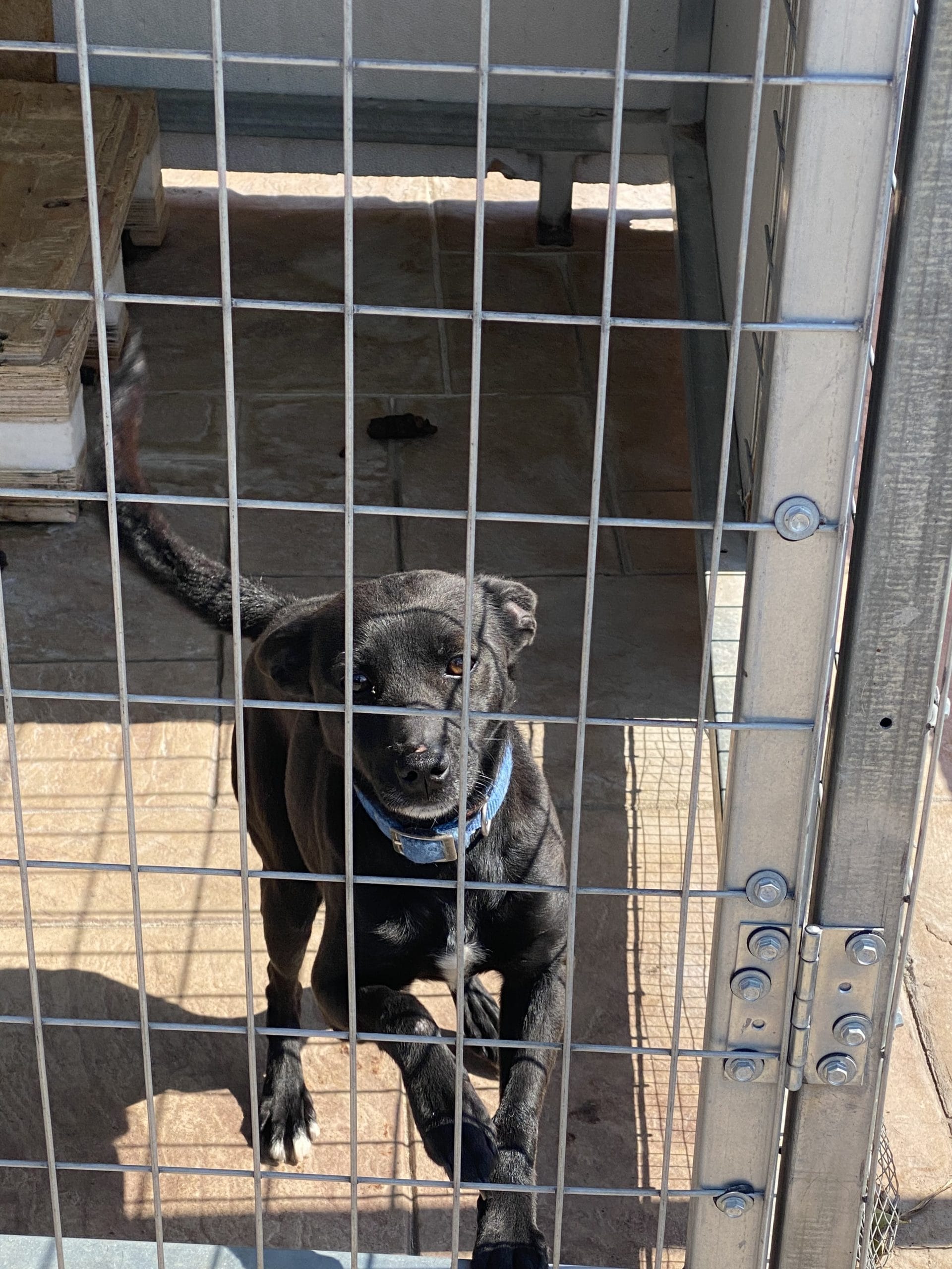 D611A088-E6F0-42A2-BA6C-3152617F683C