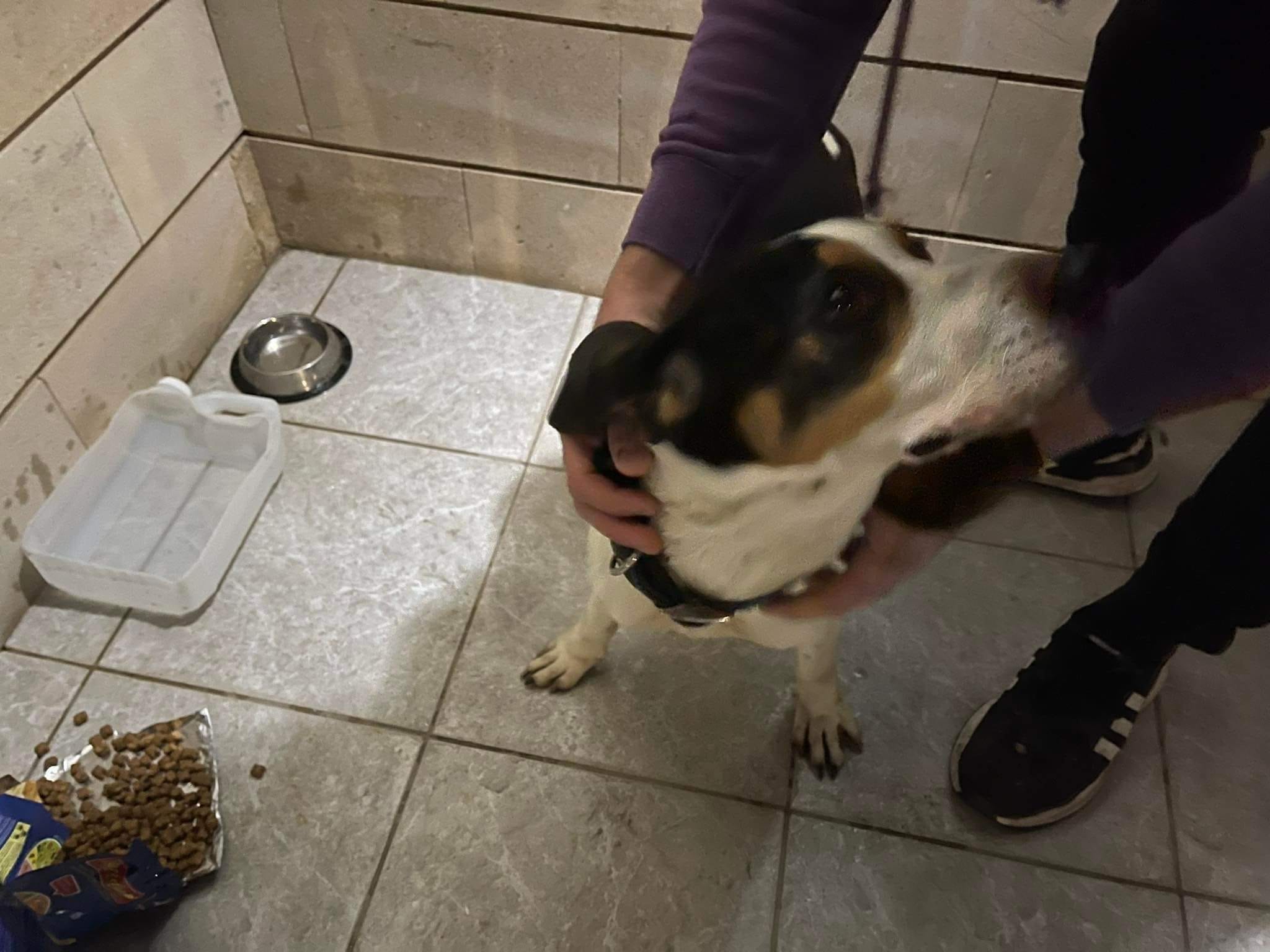 D7623466-044B-4DB9-988F-4ADB2ABC4695