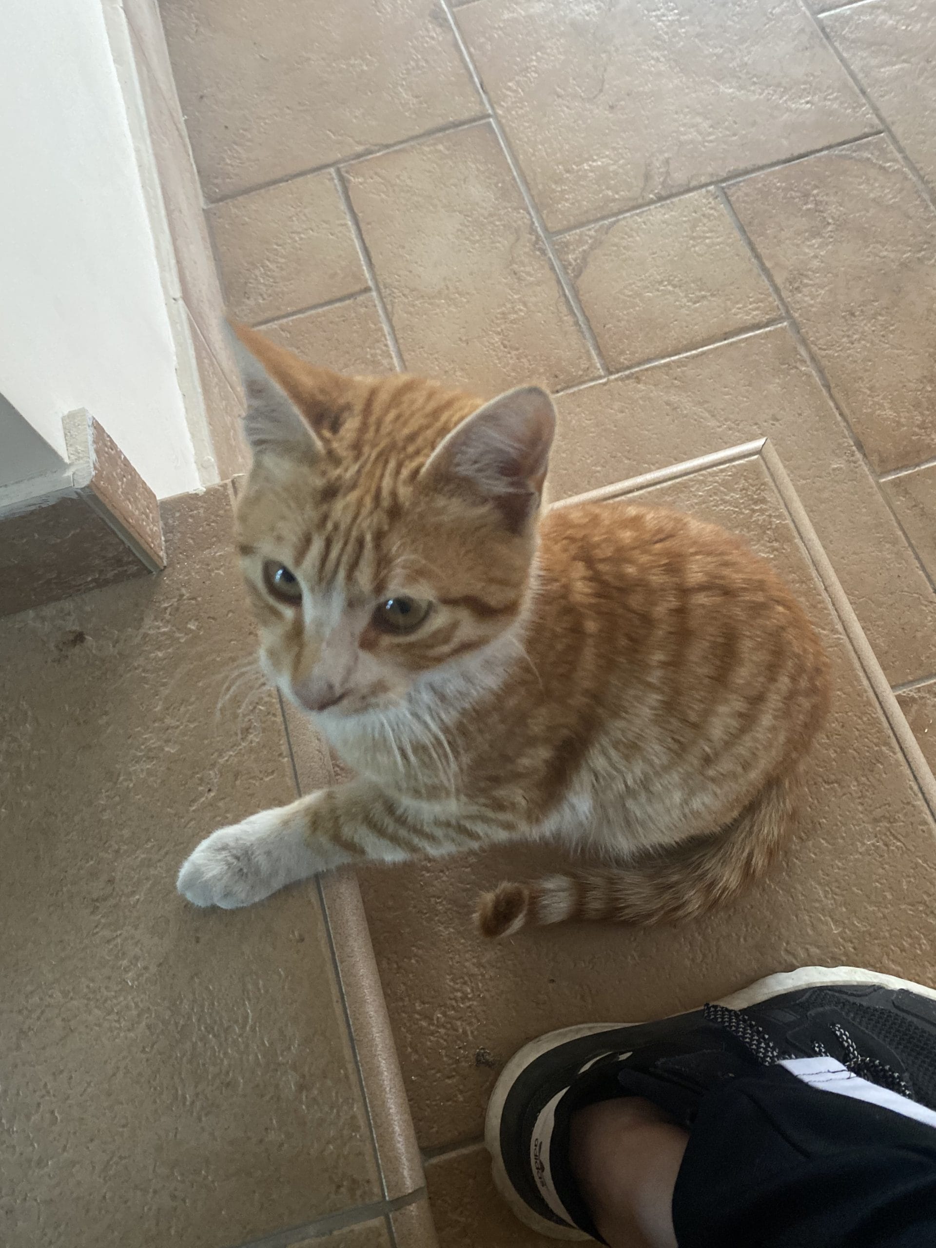 EE7D4FFF-D388-4859-A4A8-512D10D00157