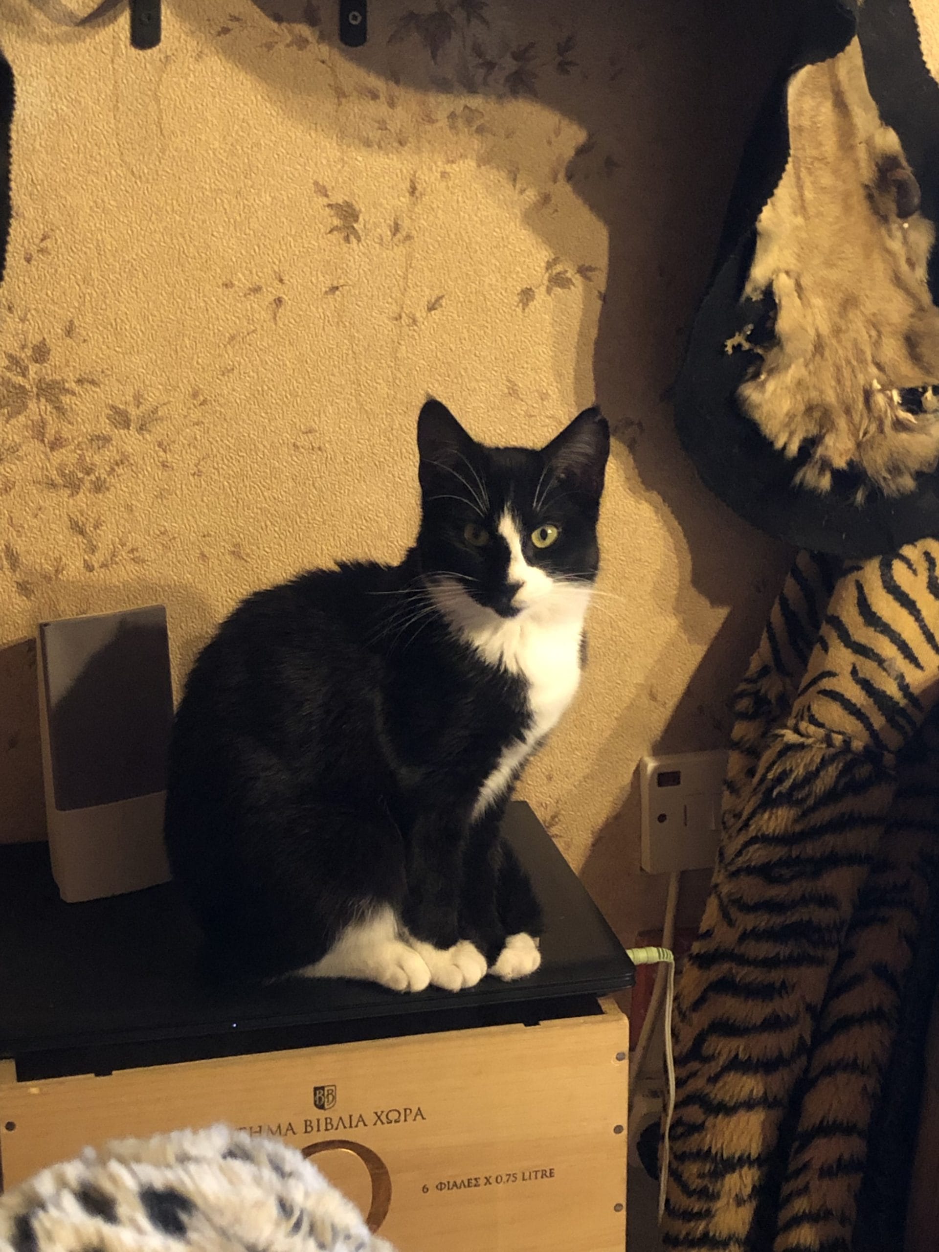 F06067F0-F44B-41E7-B7FF-9D9FCE6163EC