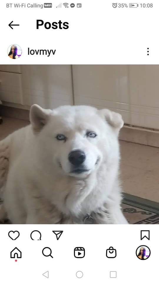 FB_IMG_1648711458768