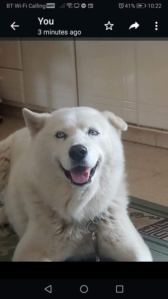 FB_IMG_1648711461510