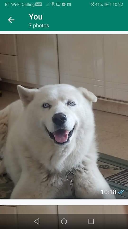 FB_IMG_1648711464125