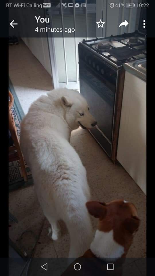 FB_IMG_1648711467771