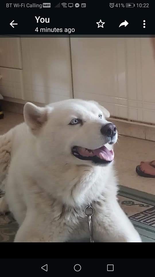 FB_IMG_1648711470848