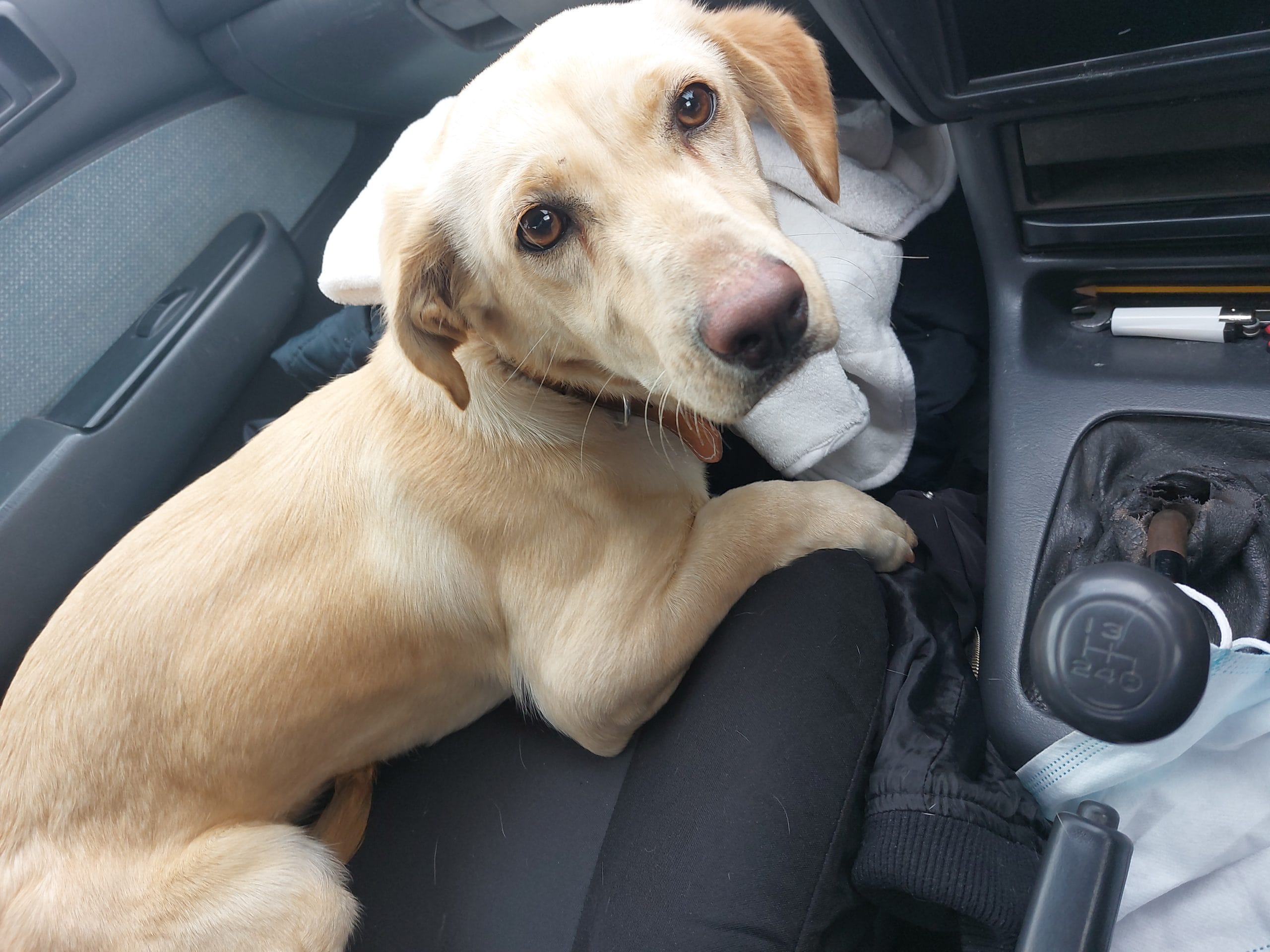 IMG_20220304_160100_01-1