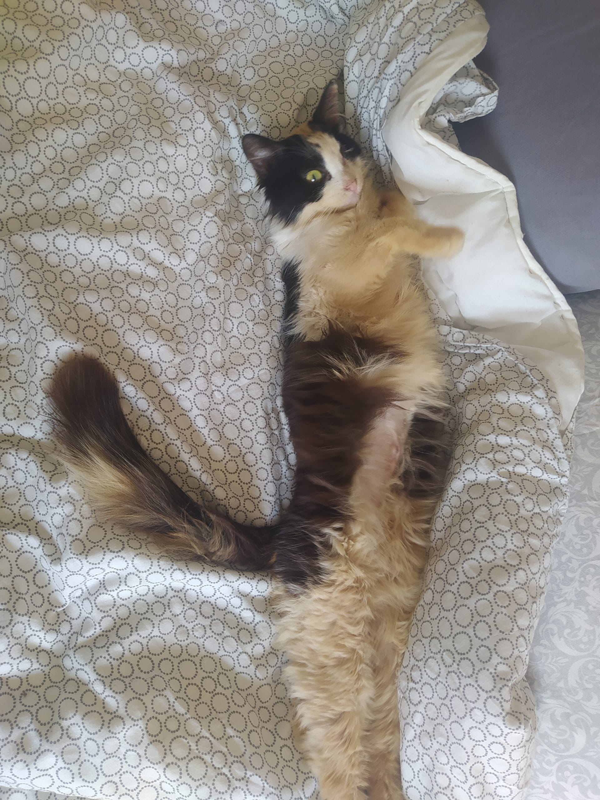 IMG_20220307_113821-1