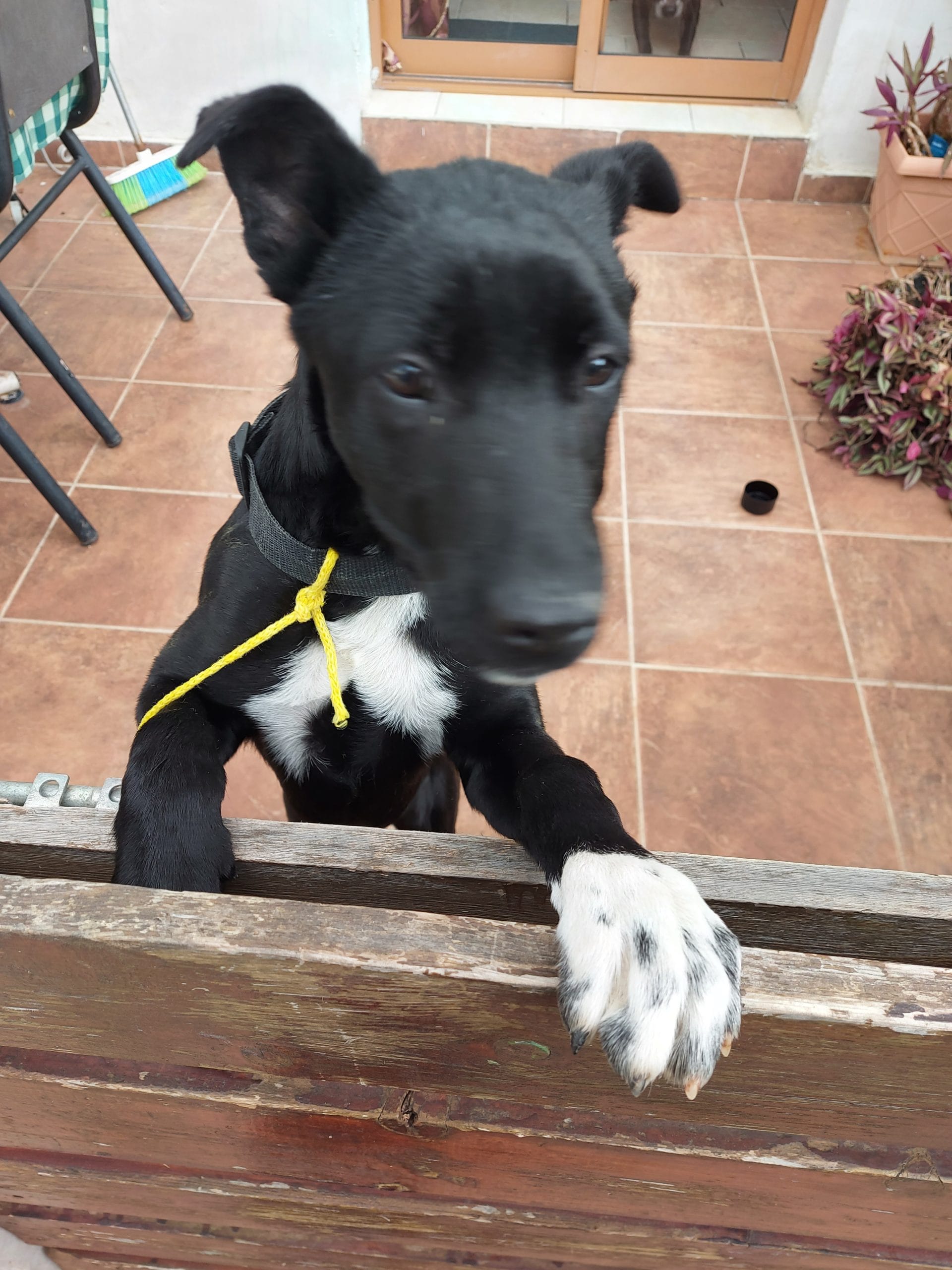 inbound2108173533794930211